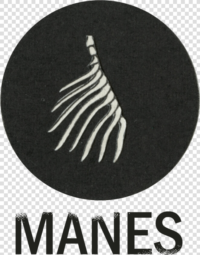 Image Default   Emblem  HD Png DownloadTransparent PNG