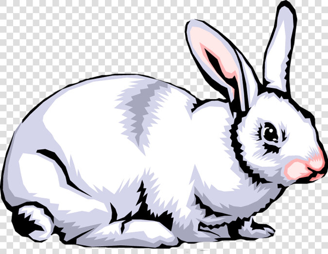 Rabbit Clip Art Images Free Clipart Png   Rabbit Clipart Png  Transparent PngTransparent PNG
