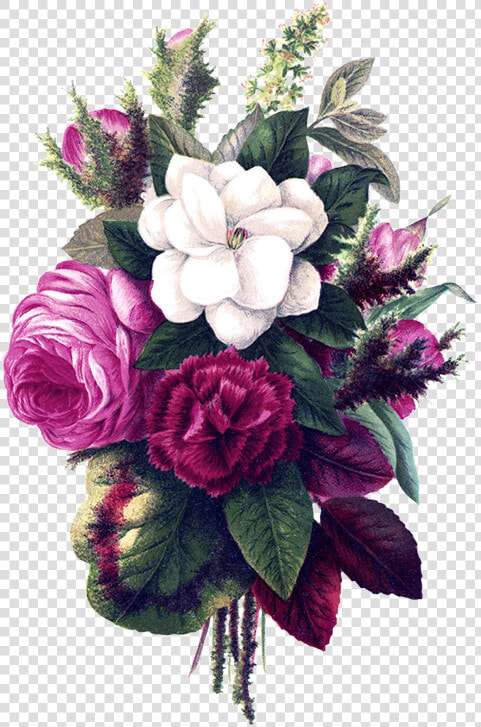 Flower Bouquet Pink Flowers  Flower Clipart Pansies   Vintage Flower Drawings Png  Transparent PngTransparent PNG