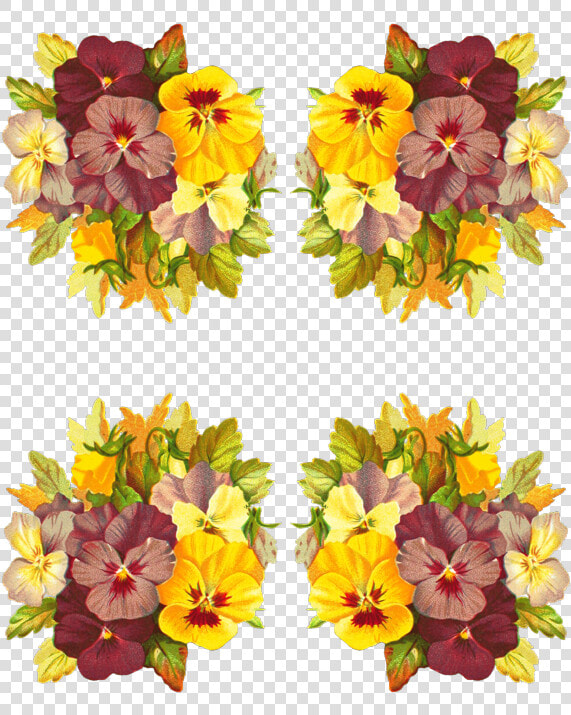 Alstroemeriaceae  HD Png DownloadTransparent PNG