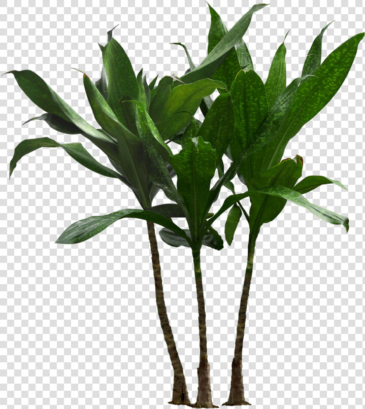 Houseplant Flowerpot Clip Art Palm Trees Plants   Transparent Background Plant Pot Png  Png DownloadTransparent PNG