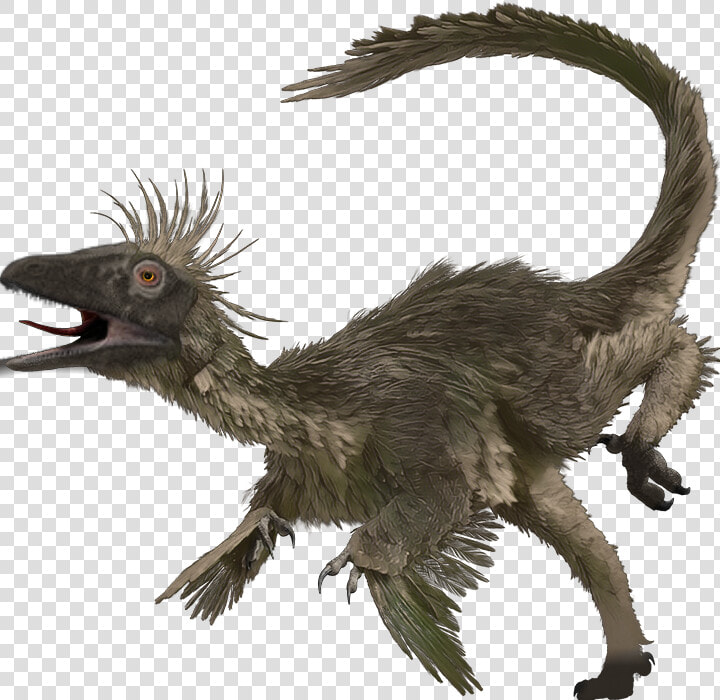 Transparent Raptor Dinosaur Clipart   Troodon Walking With Dinosaurs  HD Png DownloadTransparent PNG
