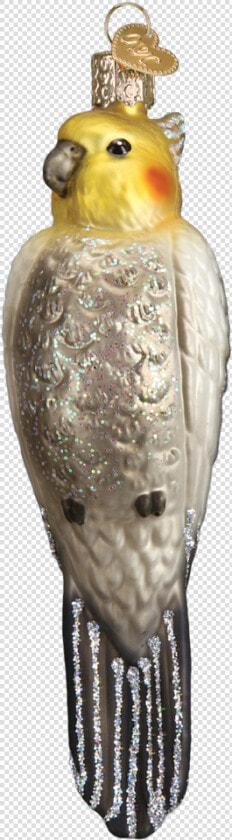 Cockatiel  HD Png DownloadTransparent PNG