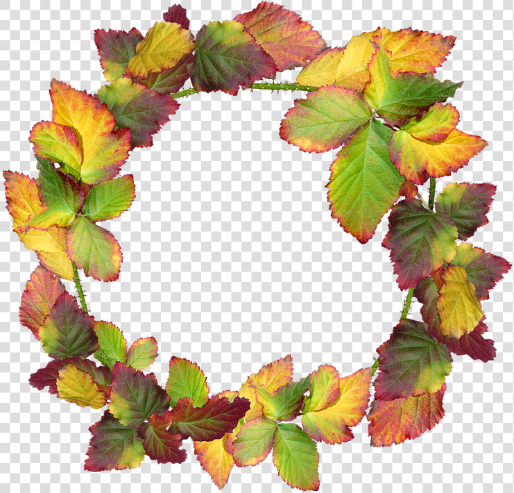 Wreath  Leaves  Autumn  Fall  Nature  Garden  Frame   Transparent Autumn Wreath Png  Png DownloadTransparent PNG