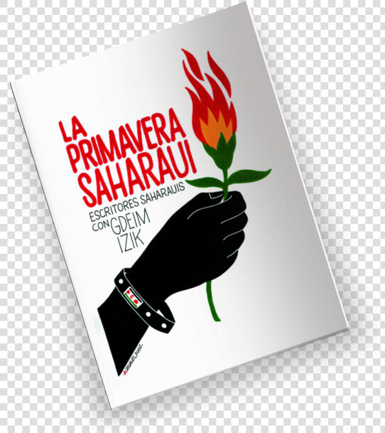 Pack Starter   Giant Protea  HD Png DownloadTransparent PNG