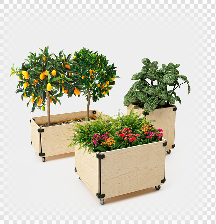 Play Wood Connectors  HD Png DownloadTransparent PNG