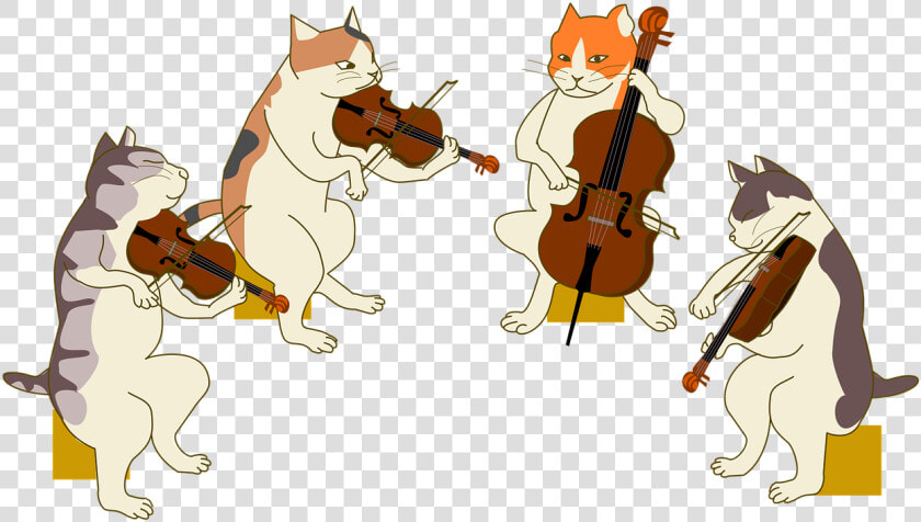 Quartet  Cat  Violin  Cello  Viola  Stage  Music   String Instrument  HD Png DownloadTransparent PNG