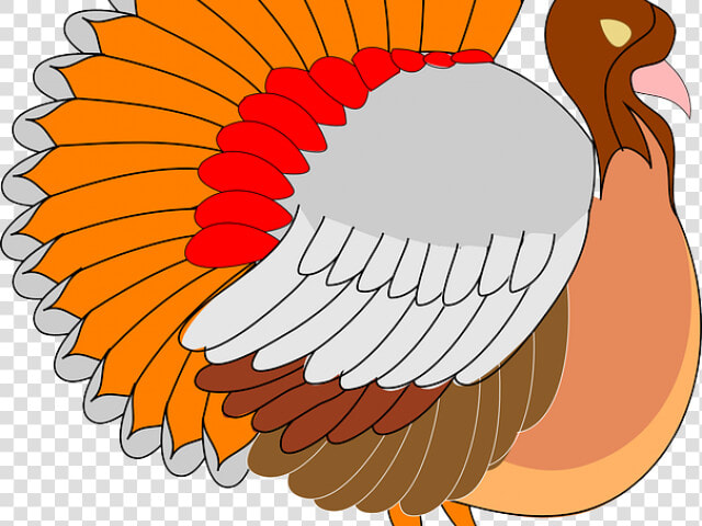 Turkey Bird Clipart Cornucopia   Clipart Turkey Png  Transparent PngTransparent PNG