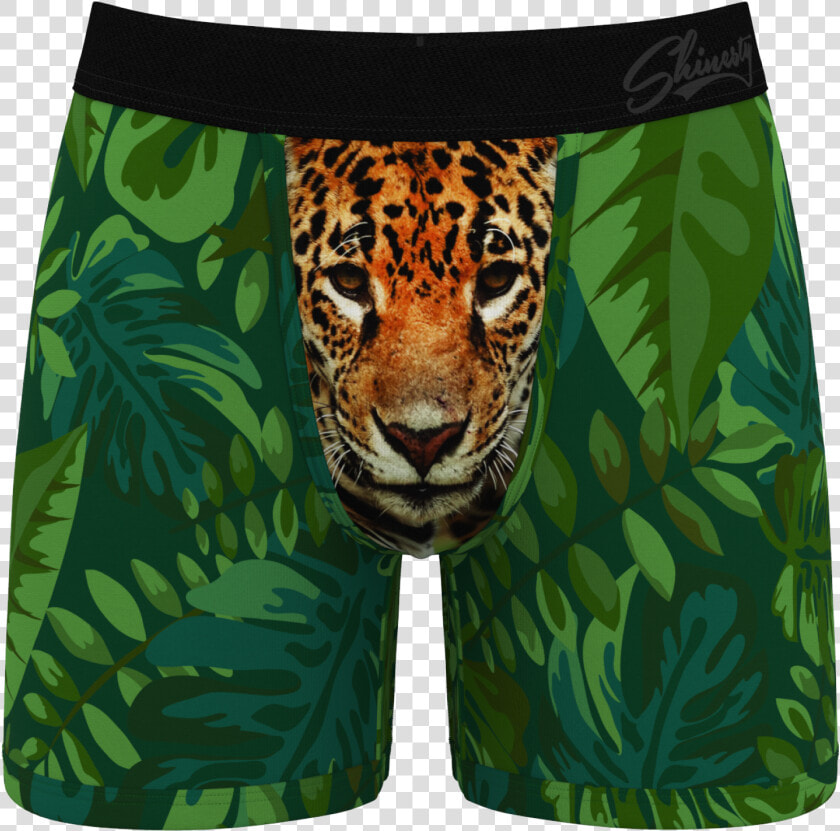 Baboon Underwear American Eagle  HD Png DownloadTransparent PNG