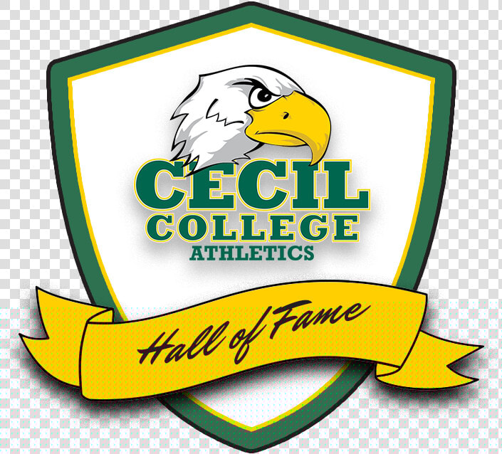 Cecil College Athletics Hall Of Fame Class Img Responsive   Cecil College  HD Png DownloadTransparent PNG