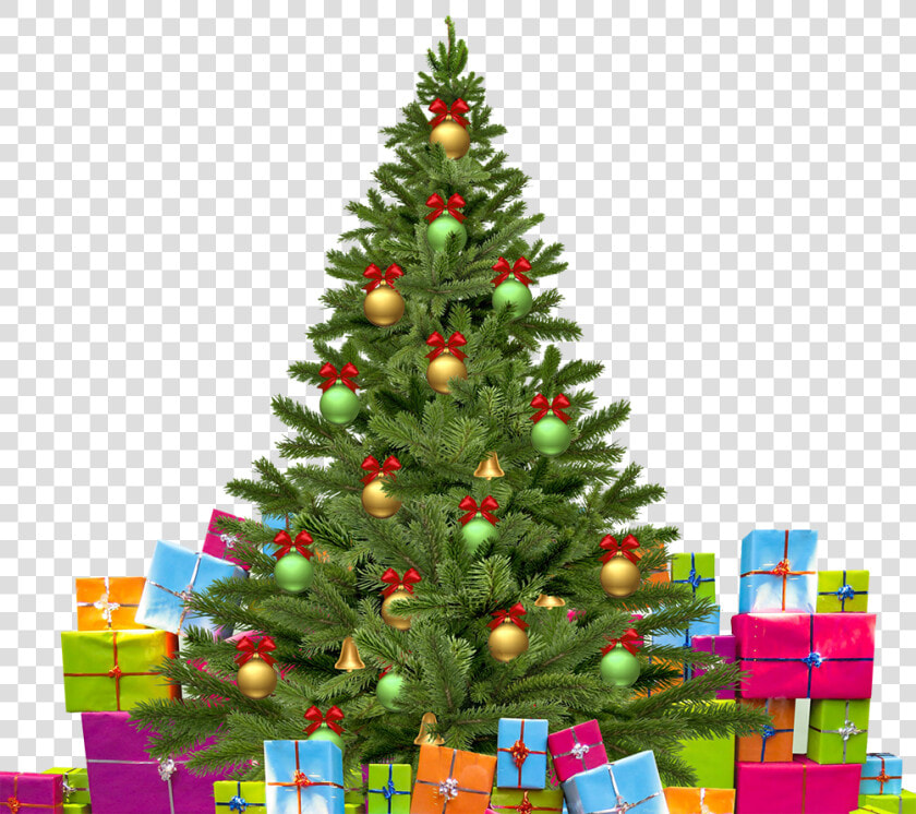 Christmas Tree With Gifts   Advance Happy Christmas Wishes  HD Png DownloadTransparent PNG