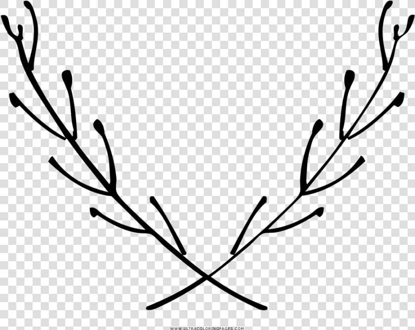 Aromatic Herbs Coloring Page   Portable Network Graphics  HD Png DownloadTransparent PNG