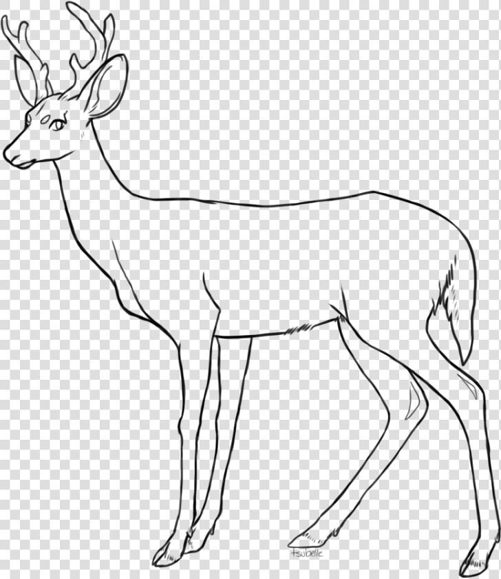 Collection Of Free Fawn Drawing Coloring Page Download   Free Deer Lineart  HD Png DownloadTransparent PNG