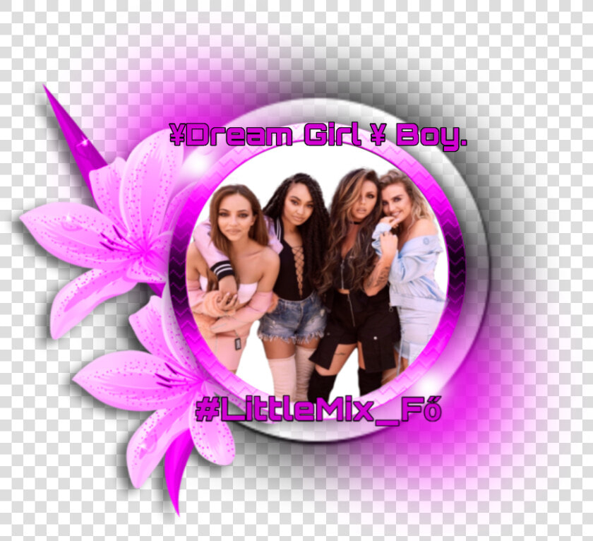  littlemix  little  mix  ¥dreamgirl¥boy   Cattleya  HD Png DownloadTransparent PNG