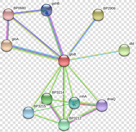 Glob Protein  HD Png DownloadTransparent PNG