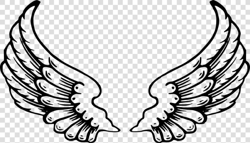 Imagenes De Alas De Angel   Lps Angel Wings  HD Png DownloadTransparent PNG