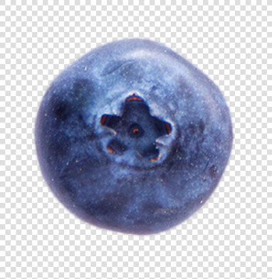 A Ripe Blueberry   Bilberry  HD Png DownloadTransparent PNG