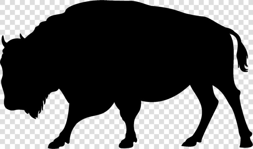 Transparent Ribbon Silhouette Png   Simple Buffalo Silhouette  Png DownloadTransparent PNG