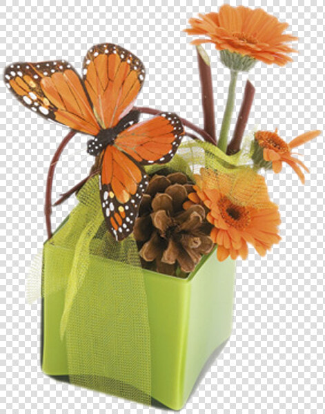 English Marigold  HD Png DownloadTransparent PNG