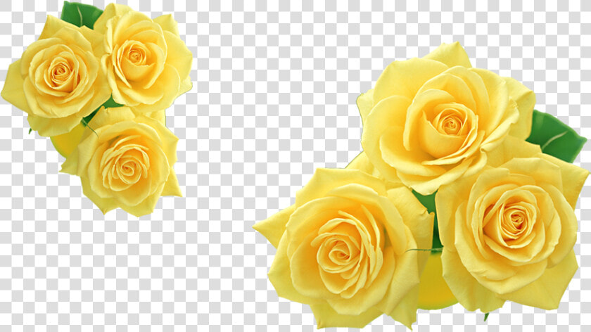 Rose Yellow Flower Clip Art   Yellow Roses Clipart  HD Png DownloadTransparent PNG