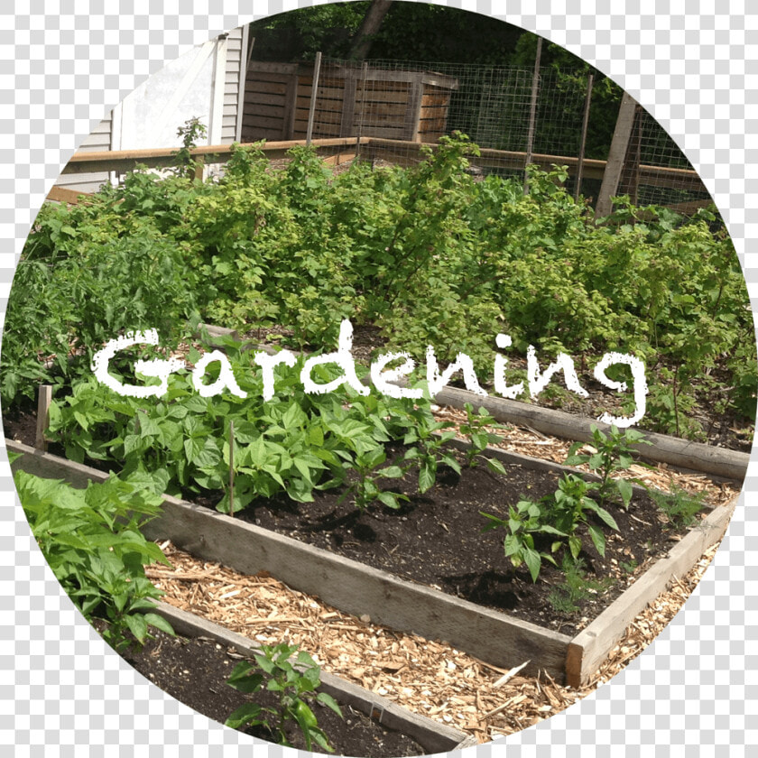Yard  HD Png DownloadTransparent PNG