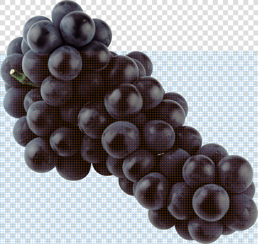 Grapes  Isolated Blue Grape Transparent Png Stickpng   Black Grapes Png  Png DownloadTransparent PNG