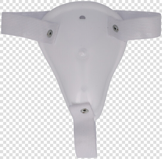 Conchas Para El Beisbol  HD Png DownloadTransparent PNG