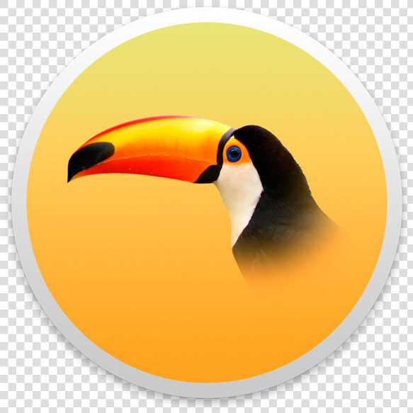Transparent Background Toucan Png  Png DownloadTransparent PNG
