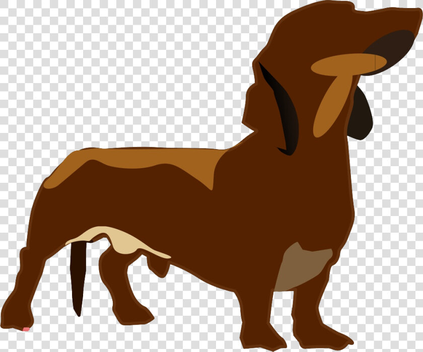 Dachshund Png   Dachshund  Transparent PngTransparent PNG