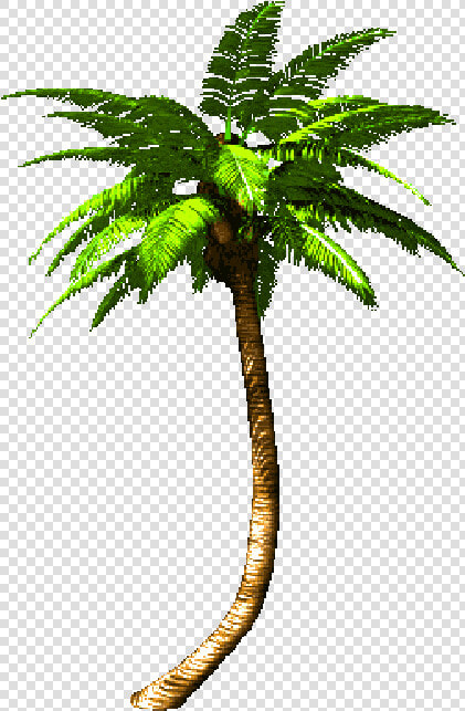 Palm Tree Png Animated Rotate Resize Tool Trees   Palm Tree Gif Png  Transparent PngTransparent PNG