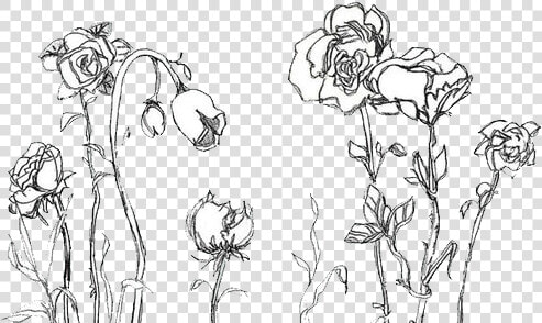 Clip Art Urbaesbae Vibe Black White   Aesthetic Flower Drawing Transparent  HD Png DownloadTransparent PNG