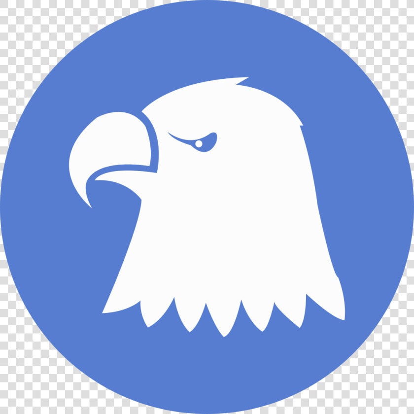 Election Eagle Icon   Portable Network Graphics  HD Png DownloadTransparent PNG
