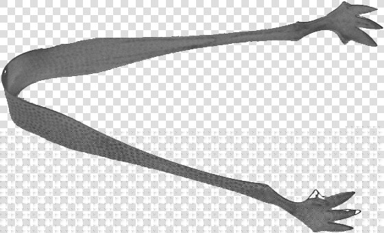 Spur  HD Png DownloadTransparent PNG