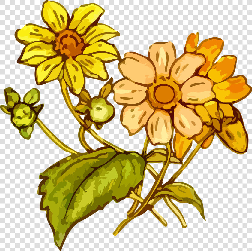 Transparent Wildflowers Clipart   Yellow Flower Drawing Png  Png DownloadTransparent PNG