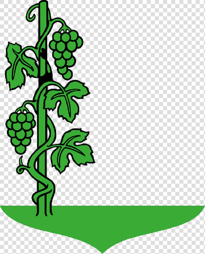 Fruit  Grapes  Drawing  Tree  Cartoon  Grape  Trees   Draw A Grape Tree  HD Png DownloadTransparent PNG