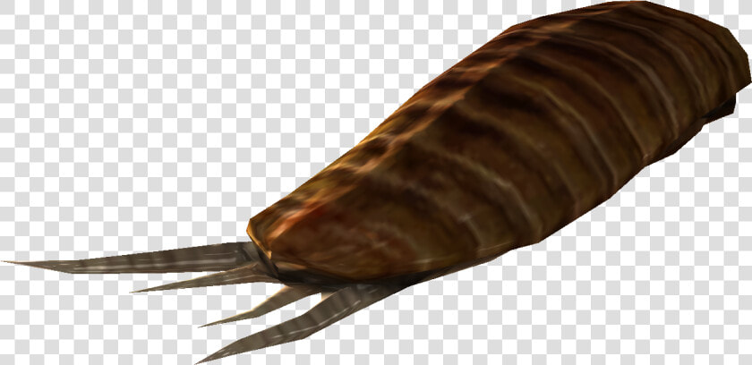 Nukapedia The Vault   Manduca Sexta  HD Png DownloadTransparent PNG
