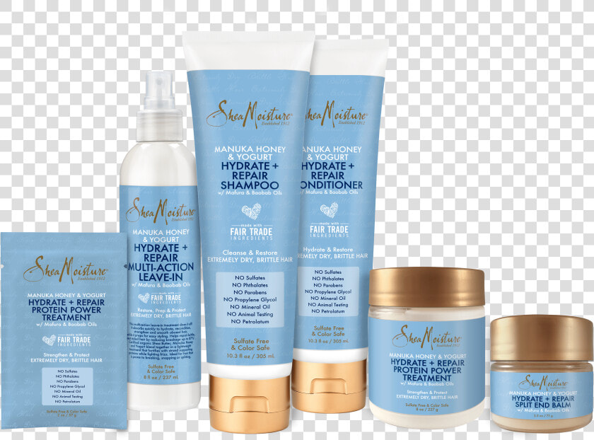 Hair Care Tips With Shea Moisture Giveaway  HD Png DownloadTransparent PNG