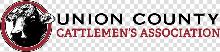 America S Best Communities   Rasmussen College  HD Png DownloadTransparent PNG