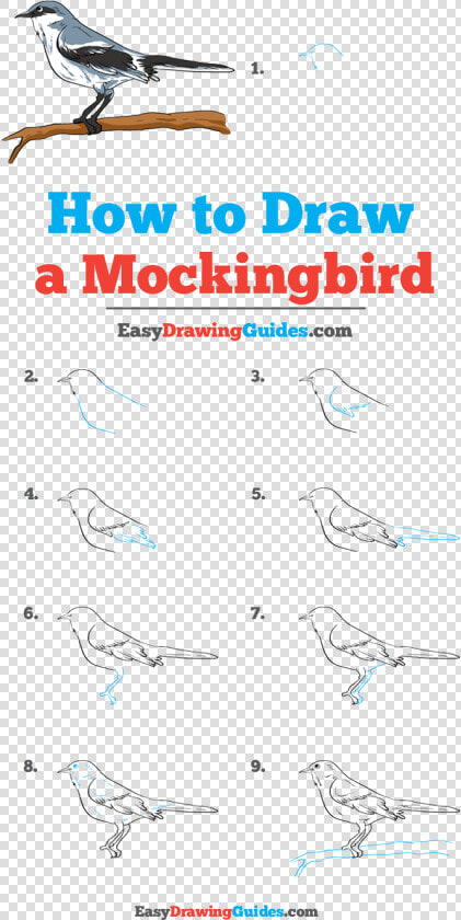 How To Draw Mockingbird   Flow  HD Png DownloadTransparent PNG