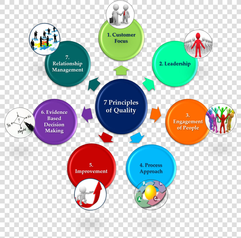 7 Principles   7 Principles Of Quality Management  HD Png DownloadTransparent PNG