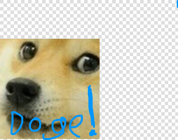 Transparent Doge Face Png   Much Wow Many Thanks  Png DownloadTransparent PNG