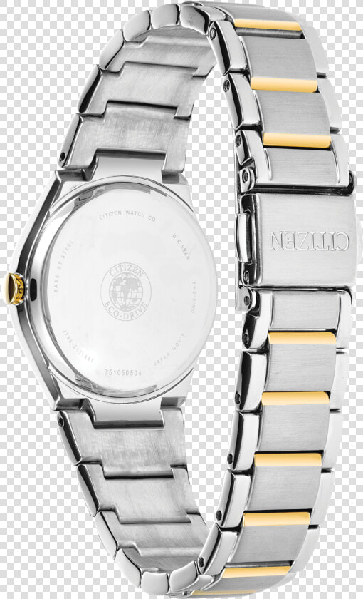 Paradigm Back View   Back Of Citizen Watch  HD Png DownloadTransparent PNG