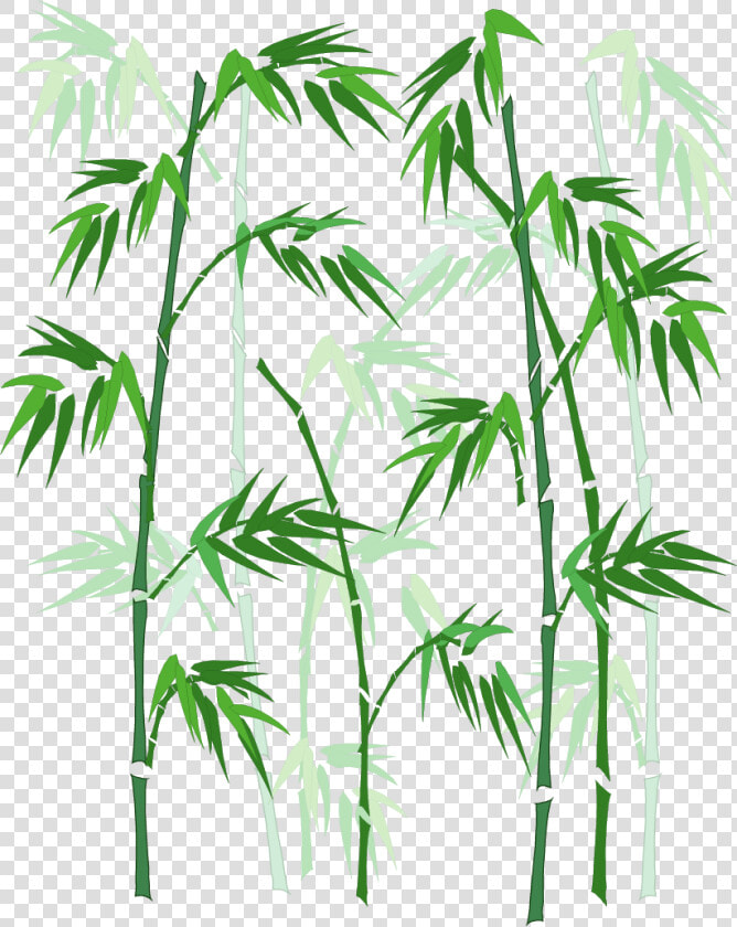 Vector Hand painted Bamboo Png Download   Bamboo In Window Glass  Transparent PngTransparent PNG