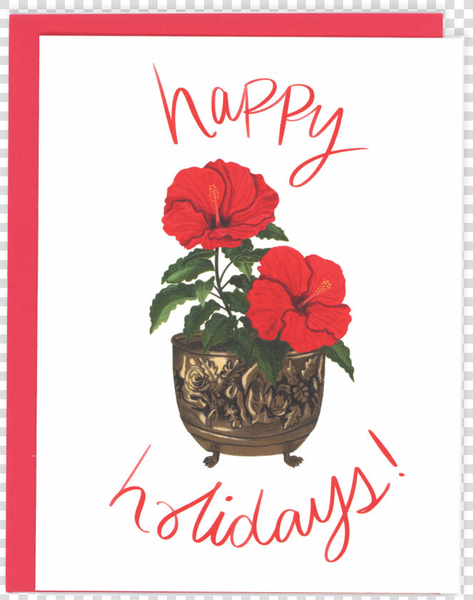 Begonia  HD Png DownloadTransparent PNG