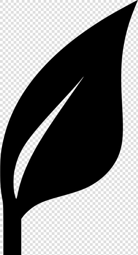 Ecology  HD Png DownloadTransparent PNG