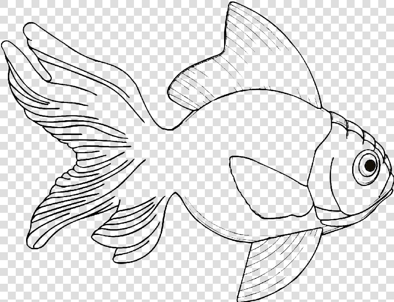 Outline Wrinkle headed Gold Fish Tattoo Design   Line Drawings Of Fish  HD Png DownloadTransparent PNG