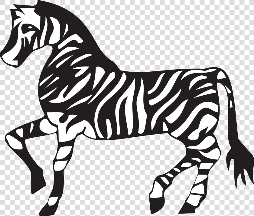 Cliparts For Free Download Zoo Clipart Zebra And Use  HD Png DownloadTransparent PNG