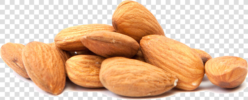 Almond Milk Clip Art Nut Food   Almond Png File  Transparent PngTransparent PNG