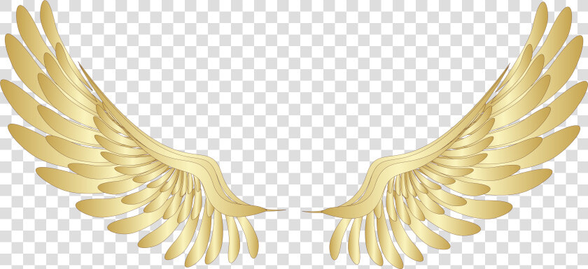 Golden Wings Png Pinterest   Angel Wings Png  Transparent PngTransparent PNG