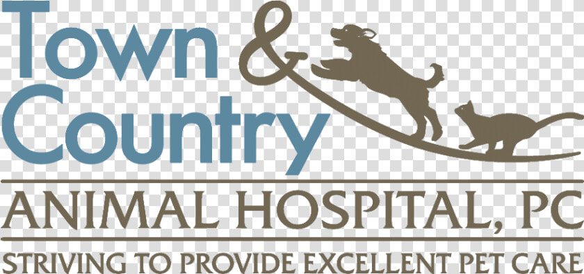 Town  amp  Country Animal Hospital   U  HD Png DownloadTransparent PNG
